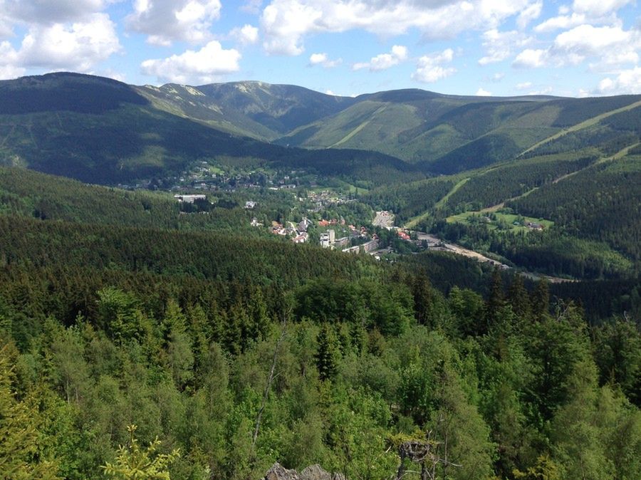 okolica