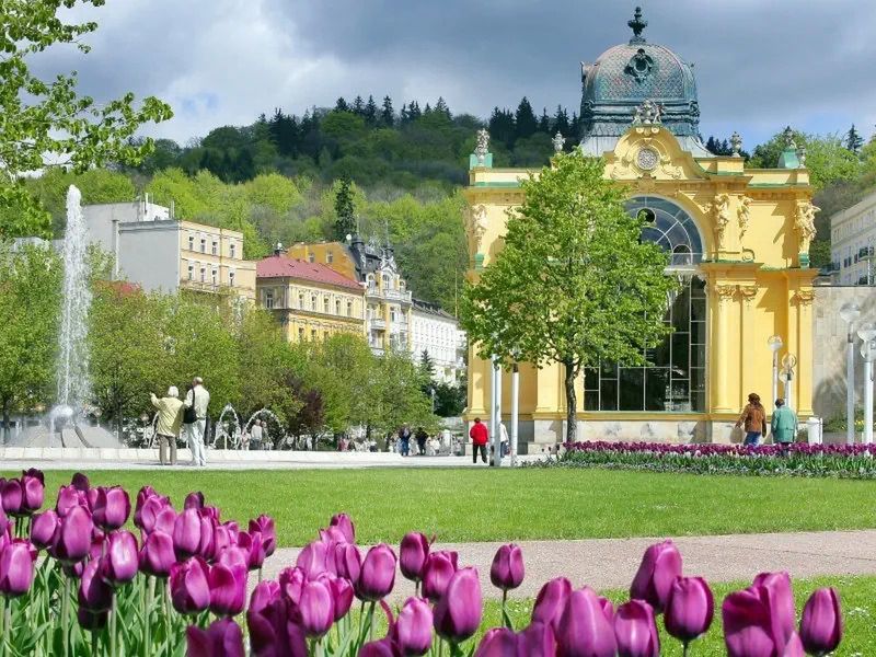 Butterfly Ensana Health Spa