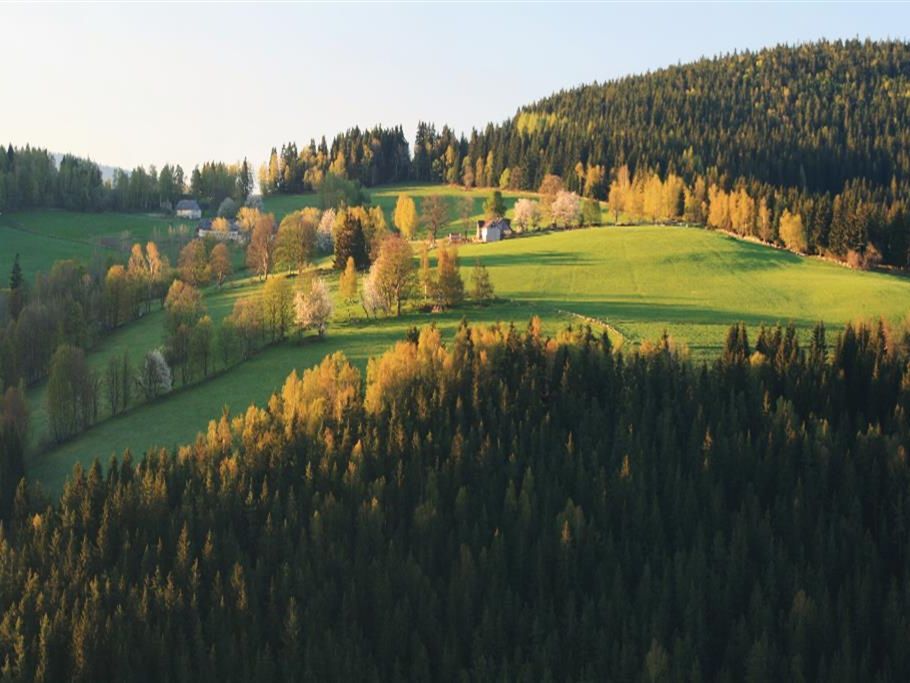 zwiedzanie
