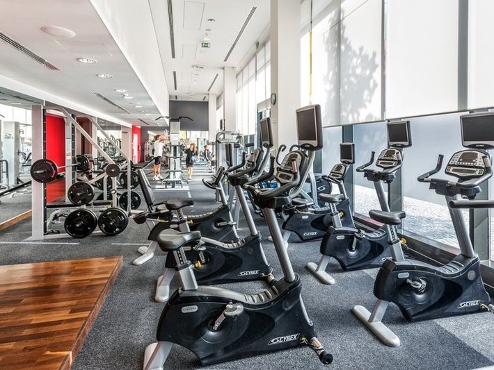 sport i rekreacja, siłownia