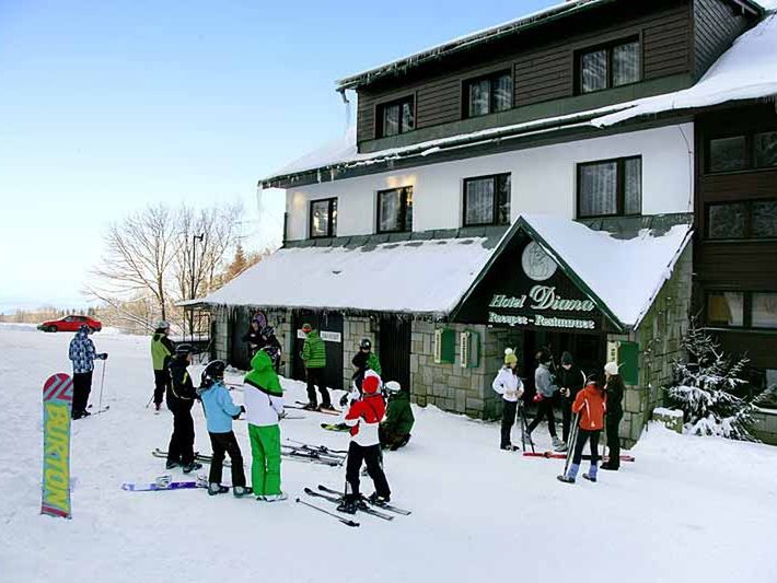 Wellness Diana (Velke Losiny)