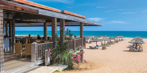 restauracja, beach bar, plaża