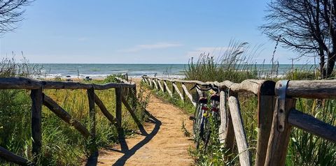 plaża