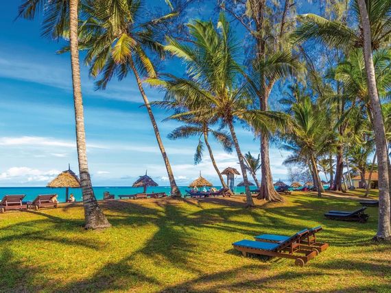 Miniaturka 25