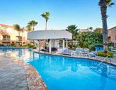 Divi Dutch Village Beach Resort