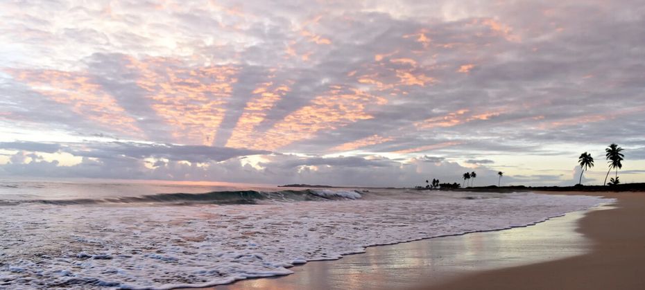 Royalton Chic Punta Cana