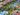 Paradisus Palma Real Golf & Spa Resort