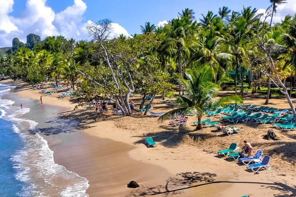 Senator Puerto Plata