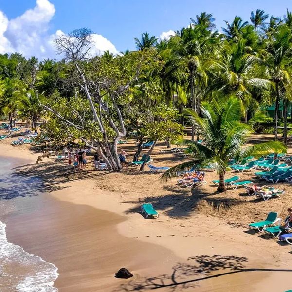 Senator Puerto Plata – 2026-03-12 - Zdjęcie 2