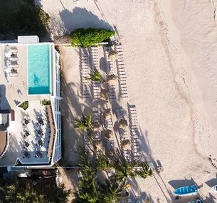 zdjęcie oferty whala! Bavaro (ex. Alisios Bavaro)