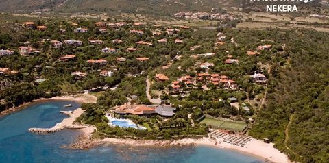 teren hotelu, basen, plaża