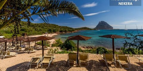 teren hotelu, plaża