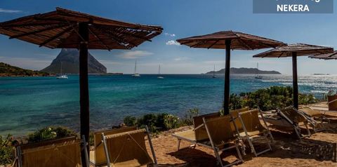 teren hotelu, plaża