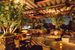 drink bar, restauracja