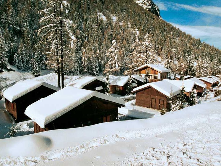 Edelweiss