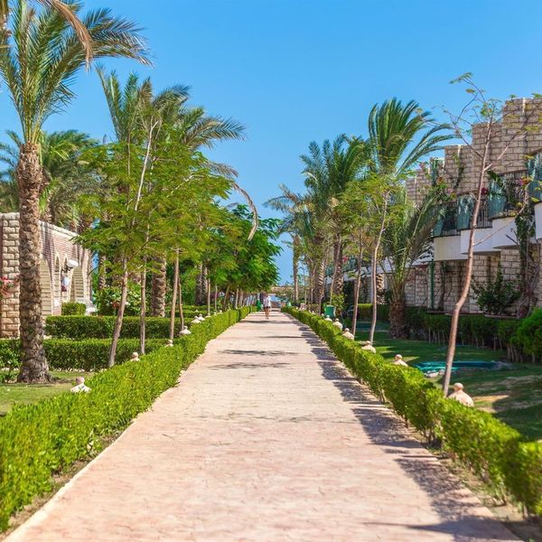 Aladdin Beach Resort - zdjęcie 5