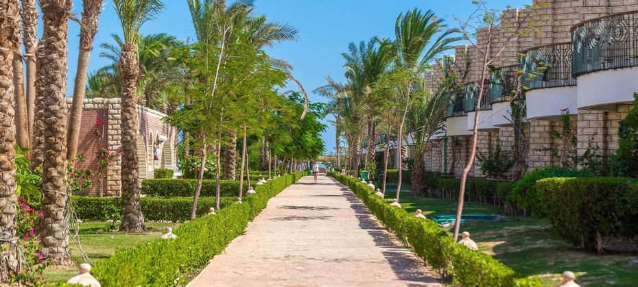 Aladdin Beach Resort