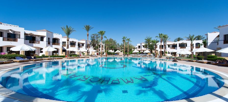 Otium Amphoras (ex. Shores Amphoras)