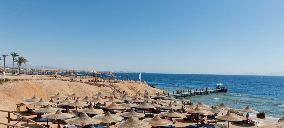 Otium Amphoras (ex. Shores Amphoras)