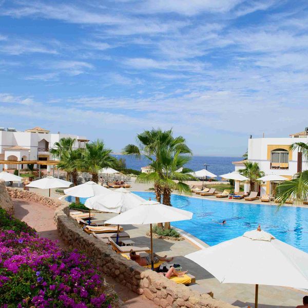 Amphoras Blu - zdjęcie 4