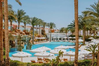 Baron Palms