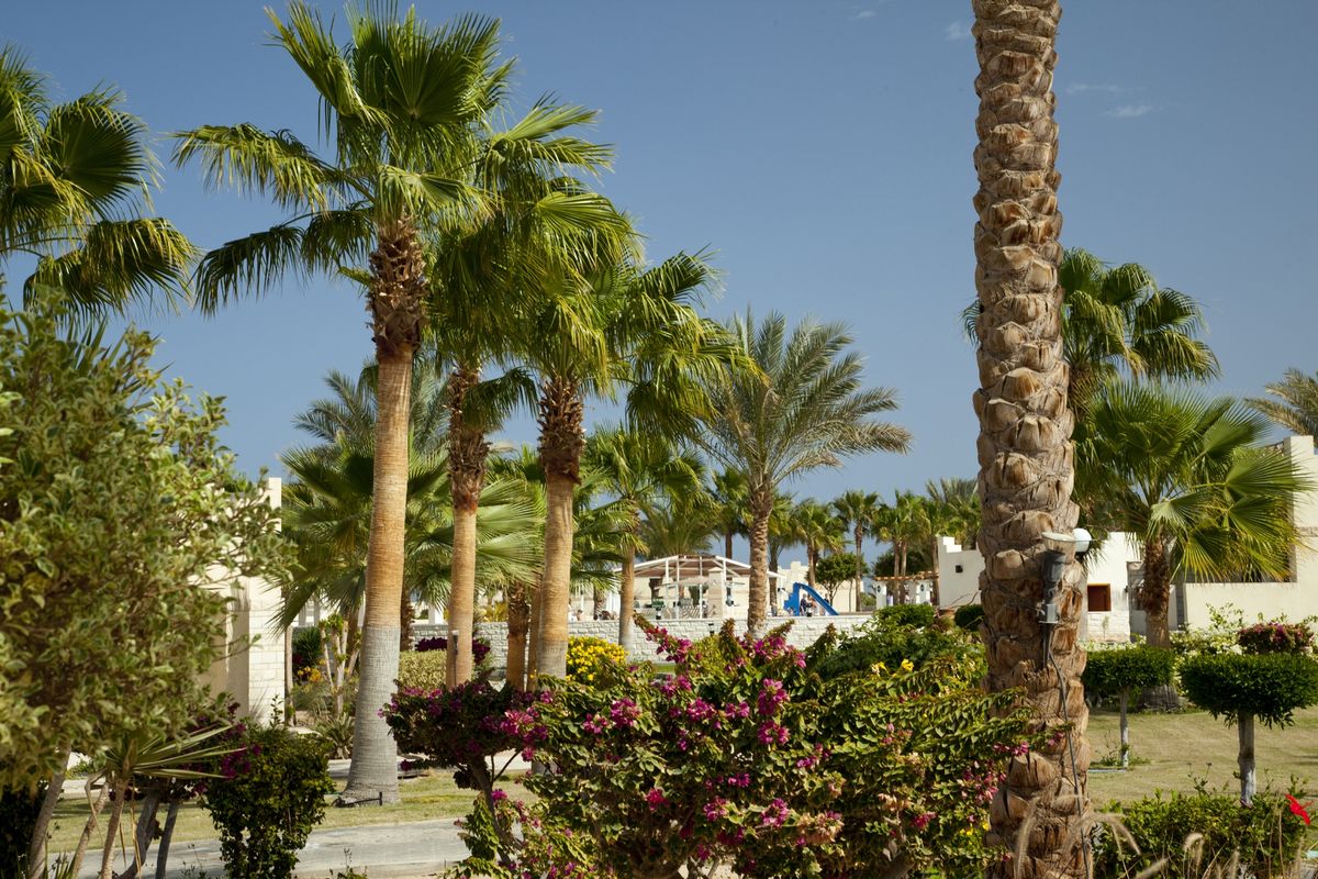 Coral Beach (ex Rotana) - teren hotelu