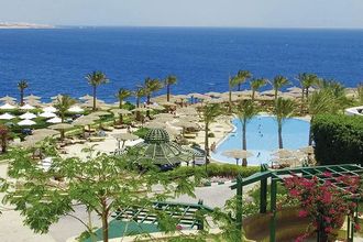 Invidia Coral Beach Tiran