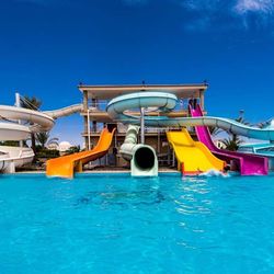 Desert Rose Resort