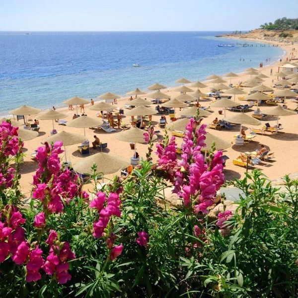Domina Coral Bay Harem