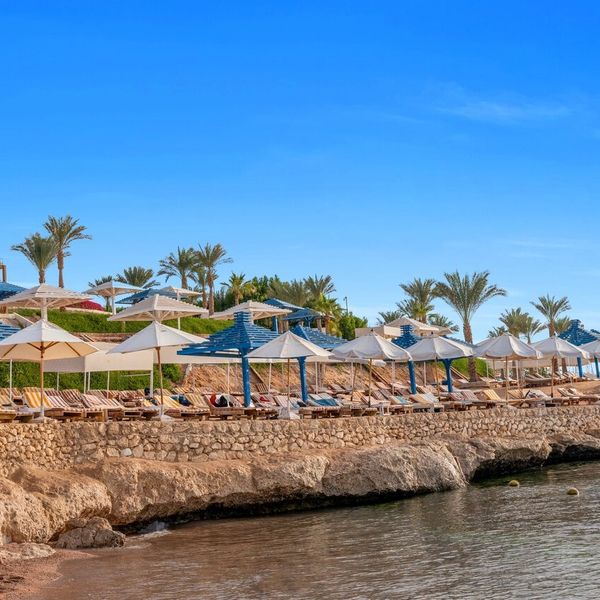 Grand Oasis Resort - zdjęcie 4