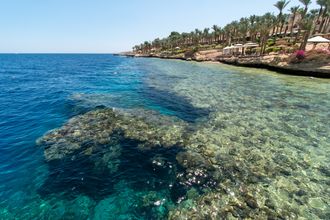 Grand Rotana Resort Spa