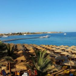 Jaz Neo Saraya Palms