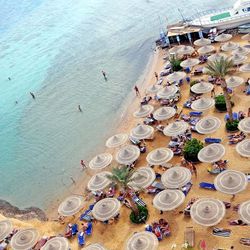 King Tut Resort