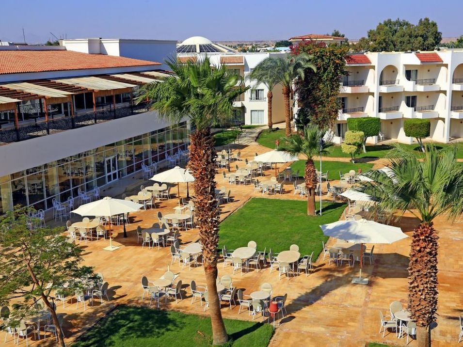 restauracja, drink bar