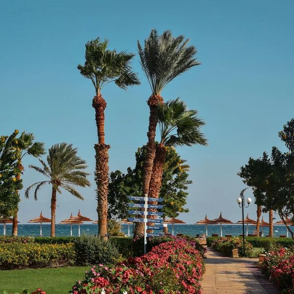 Nuweiba Club Resort (ex. Helnan Nuweiba Bay Resort) - zdjęcie 4