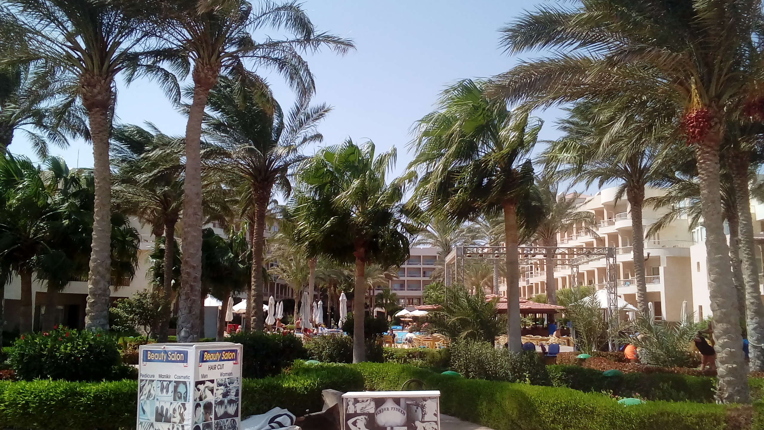 photo
