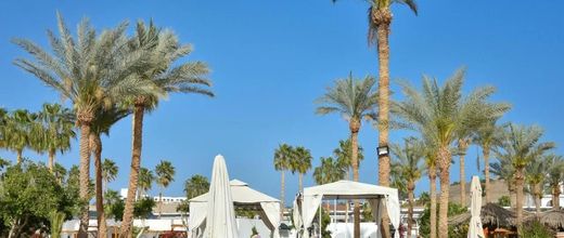 Seti Sharm Palm Beach Resort