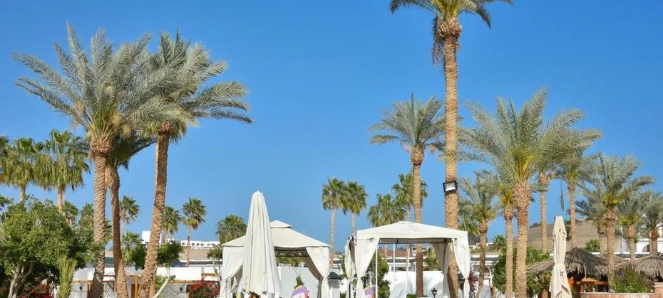 Seti Sharm Palm Beach Resort