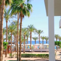 Seti Sharm Palm Beach Resort