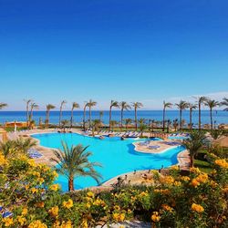 Sol Dahab Red Sea