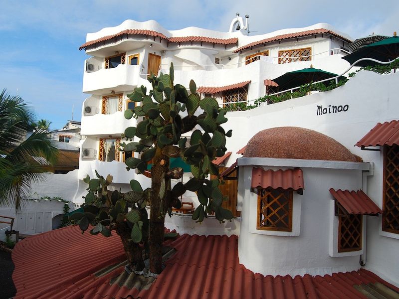 Mainao
