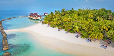 teren hotelu, plaża