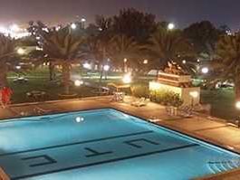 Flamingo Beach Resort