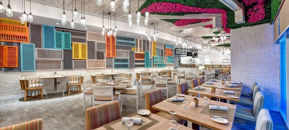 Time Oak (ex. Layia Oak)