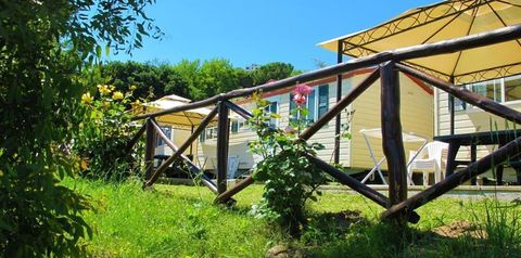 obiekt, budynek główny