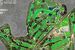 sport i rekreacja, pole golfowe