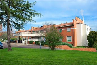 Executive (ex. Max Executive)