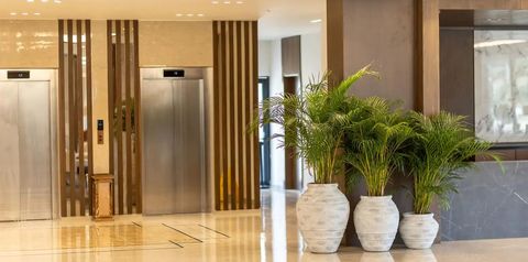 obiekt, recepcja / lobby