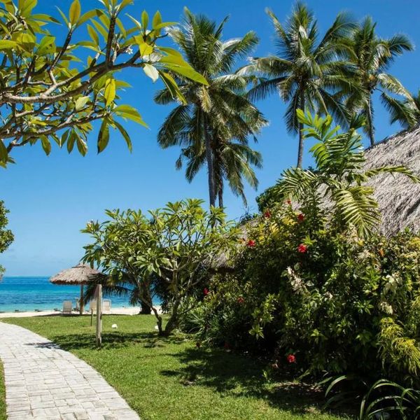 Castaway Island Fiji – 2026-02-07 - Zdjęcie 2