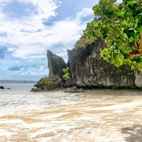 The Funny Lion El Nido – 2027-01-29 - Zdjęcie 2